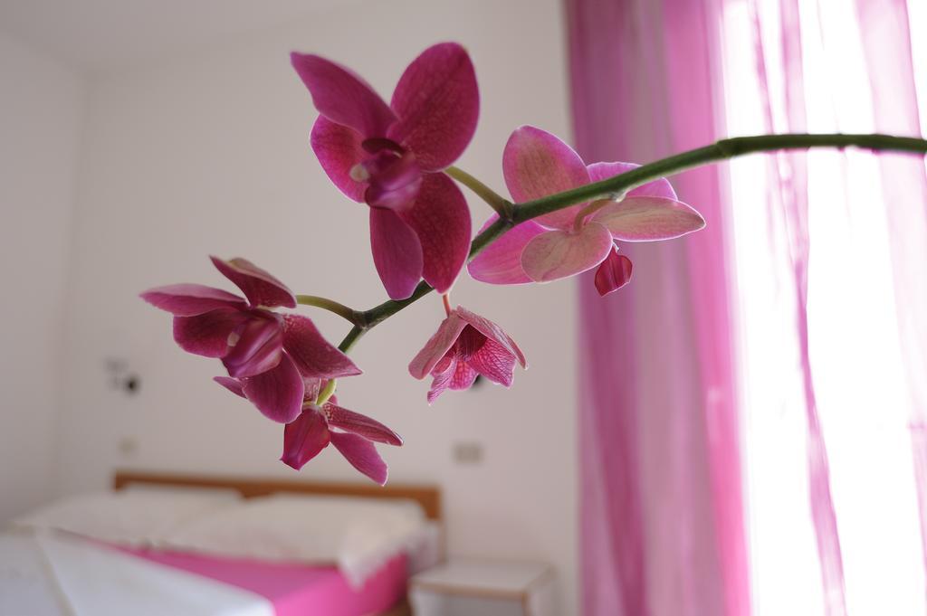 Solemare Hotel E Residence Misano Adriatico Eksteriør bilde